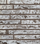 Великий Новгород в Москве Ригель-кирпич R-350